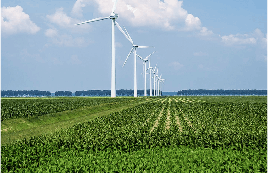 Renewable Energy Star Award